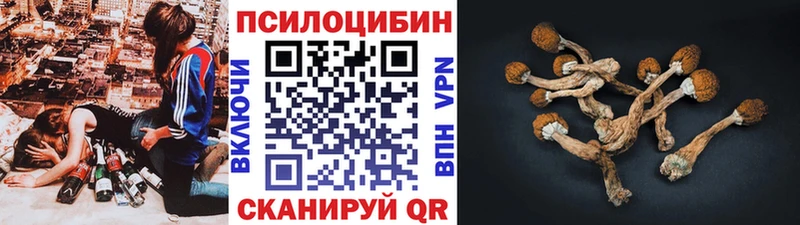 где продают наркотики  Цоци-Юрт  Галлюциногенные грибы мицелий 